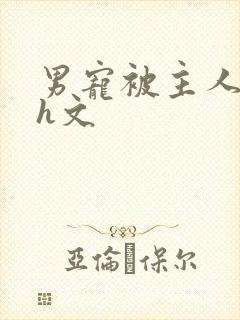 男宠被主人调教h文
