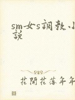 sm女s调教小说封面