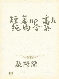 短篇np 高h 纯肉合集