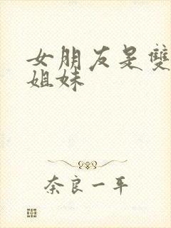 女朋友是双胞胎姐妹封面