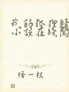 我的狐狸精后妈小说在线阅读