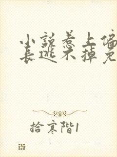 小说惹上偏执兄长逃不掉免费阅读全文