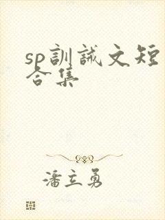 sp训诫文短篇合集