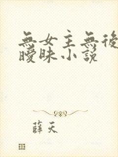 无女主无后宫无暧昧小说