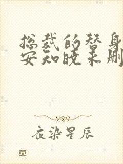 总裁的替身前妻安知晓未删减