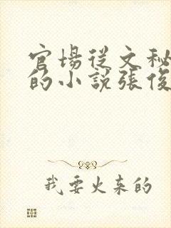 官场从文秘开始的小说张俊结局封面