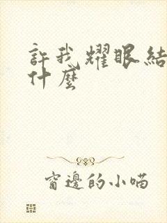 许我耀眼结局是什么