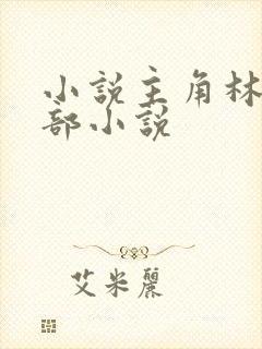 小说主角林凡全部小说