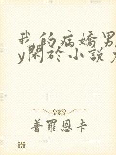 我的病娇男友by闲于小说免费阅读