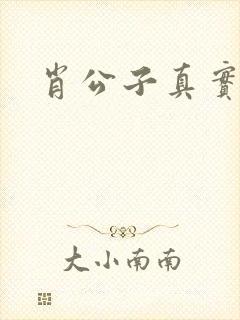 肖公子真实长相封面