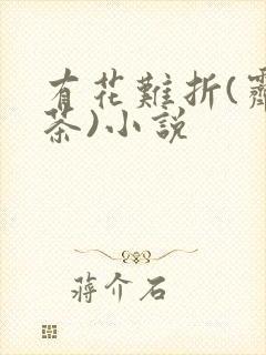 有花难折(霁夜茶)小说