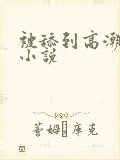 被舔到高潮求饶小说