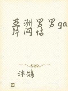 亚洲男男gay片网站