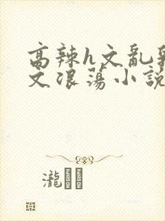 高辣h文乱乳h文浪荡小说苏柔