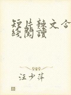 短片辣文合集在线阅读封面