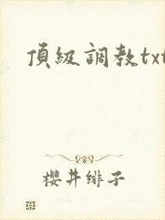 顶级调教txt