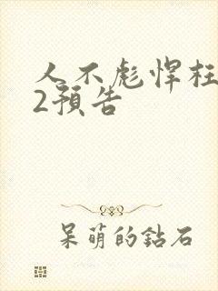 人不彪悍枉少年2预告