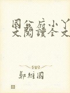 国公府小丫鬟全文阅读全文封面