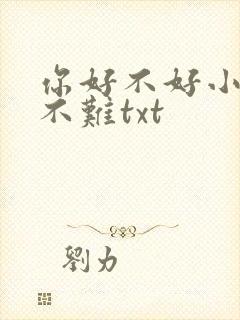 你好不好小说王不难txt封面