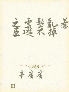 之云鬓乱惹上权臣逃不掉