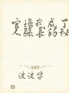 官场我成了大美人县长的秘书全文小说