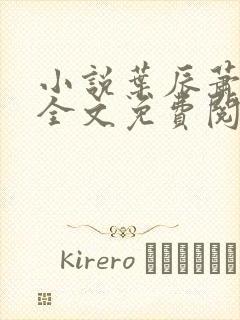 小说叶辰萧初然全文免费阅读封面