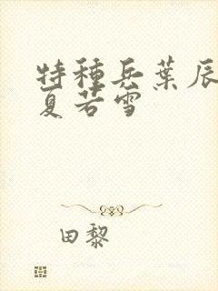 特种兵叶辰孙怡夏若雪