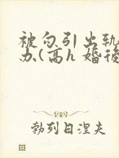 被勾引出轨怎么办(高h 婚后np)(