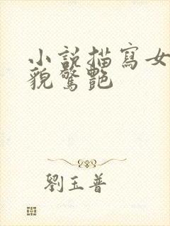 小说描写女主外貌惊艳封面