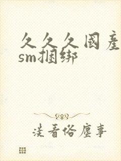 久久久国产调教sm捆绑