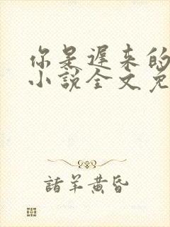 你是迟来的喜欢小说全文免费阅读