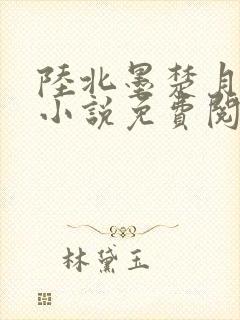 陆北墨楚月离的小说免费阅读无弹窗