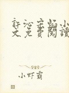 许沁宋焰小说全文免费阅读