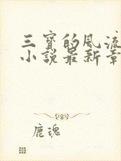 三宝的风流人生小说最新章节更新