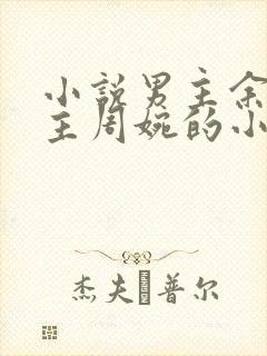 小说男主余年女主周婉的小说封面