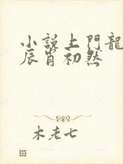 小说上门龙婿叶辰肖初然