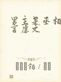 男主是丞相的古言虐文