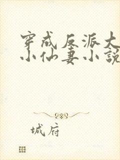 穿成反派大佬的小仙妻小说免费阅读