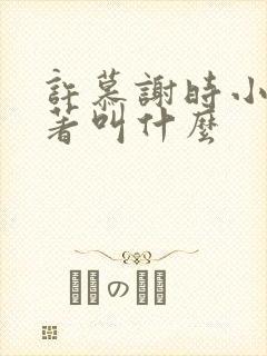 许慕谢时小说原著叫什么