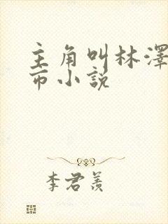 主角叫林泽的都市小说