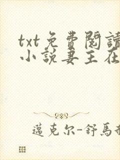 txt免费阅读小说妻主在上
