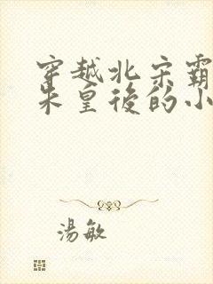 穿越北宋霸占了朱皇后的小说