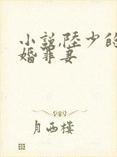 小说,陆少的隐婚罪妻