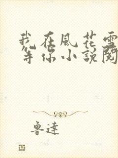 我在风花雪月里等你小说阅读全文