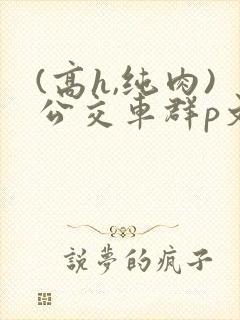 (高h,纯肉)公交车群p文