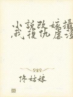 小说改嫁摄政王,我复仇虐渣妹萧怀在线阅