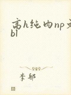 高h纯肉np文bl