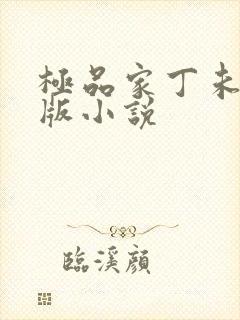 极品家丁未删减版小说