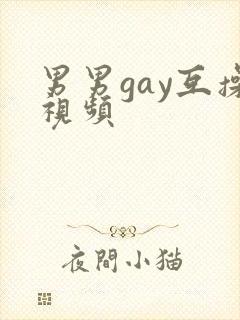 男男gay互操视频