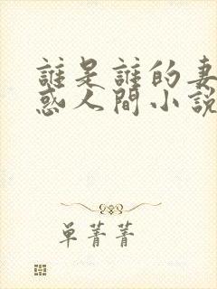 谁是谁的妻子魅惑人间小说